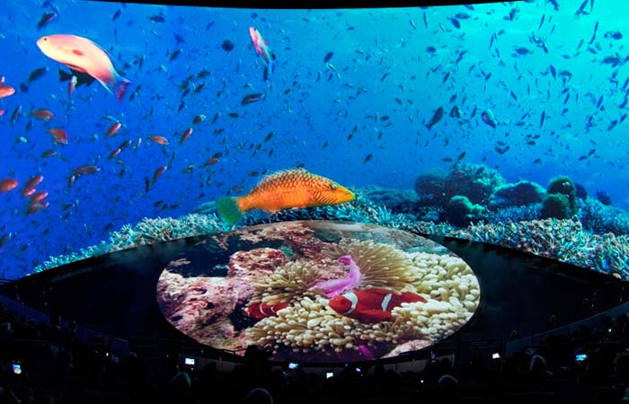 taxi los angeles airport lax aquarium of pacifico