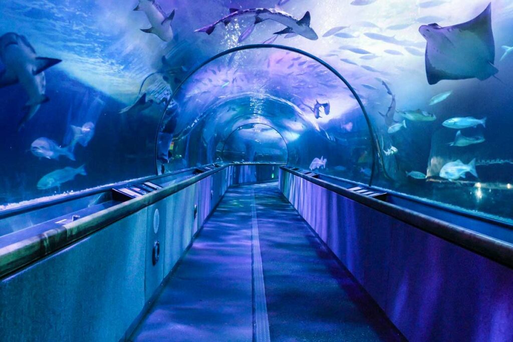 Acuario del muelle de Santa Monica