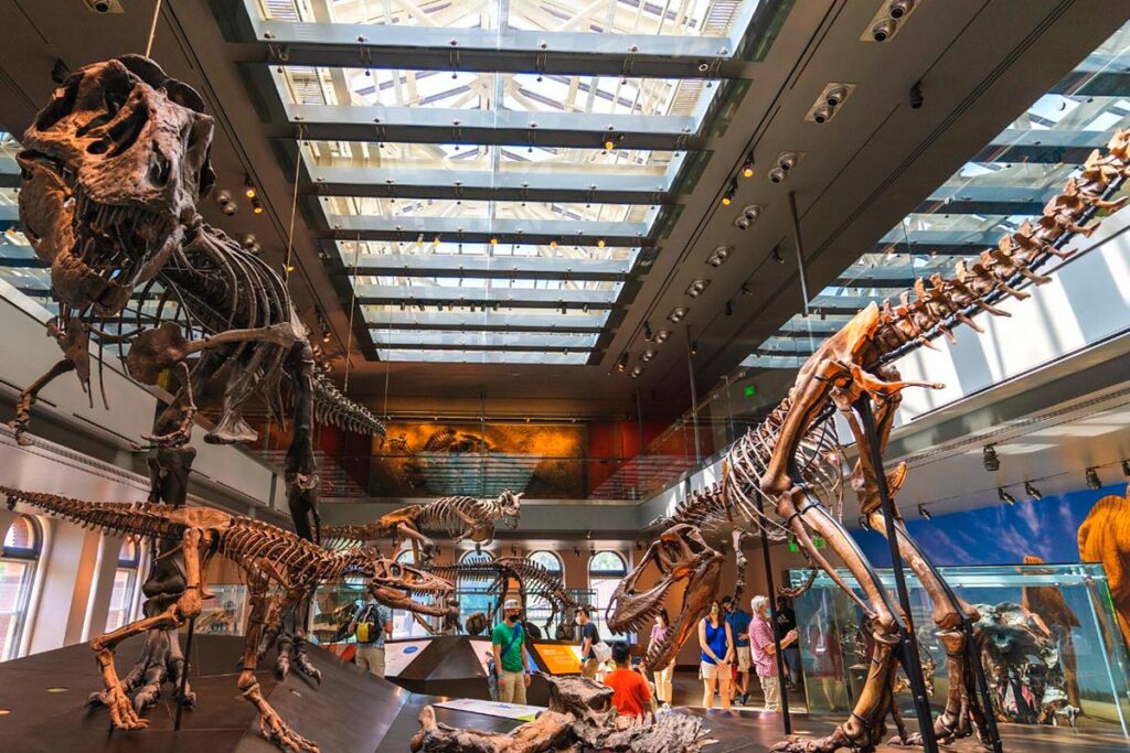 Museo de Historia Natural en Los Ángeles