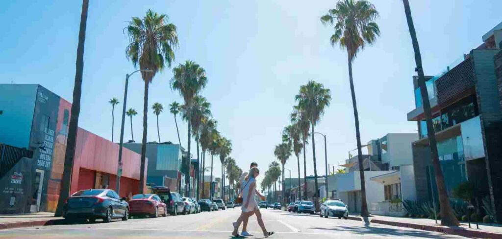 abbot kinney boulevard